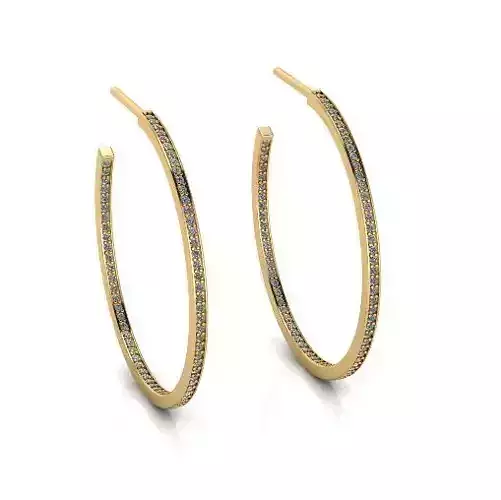 Earrings Model 5978