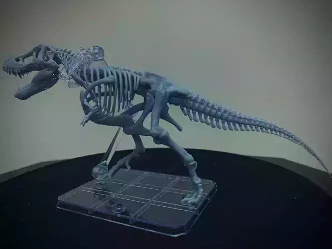 T-REX DINOSAUR SKELETON
