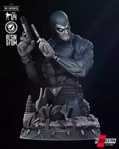 B3DSERK Phantom Bust 