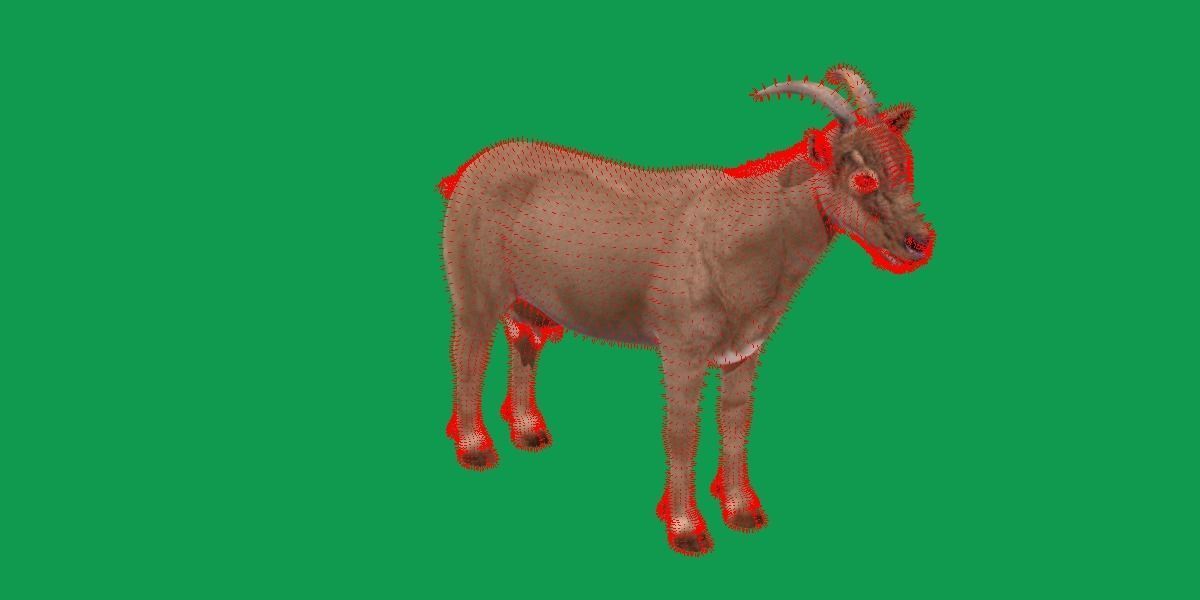Domestic Goat Low-poly 3D model_30