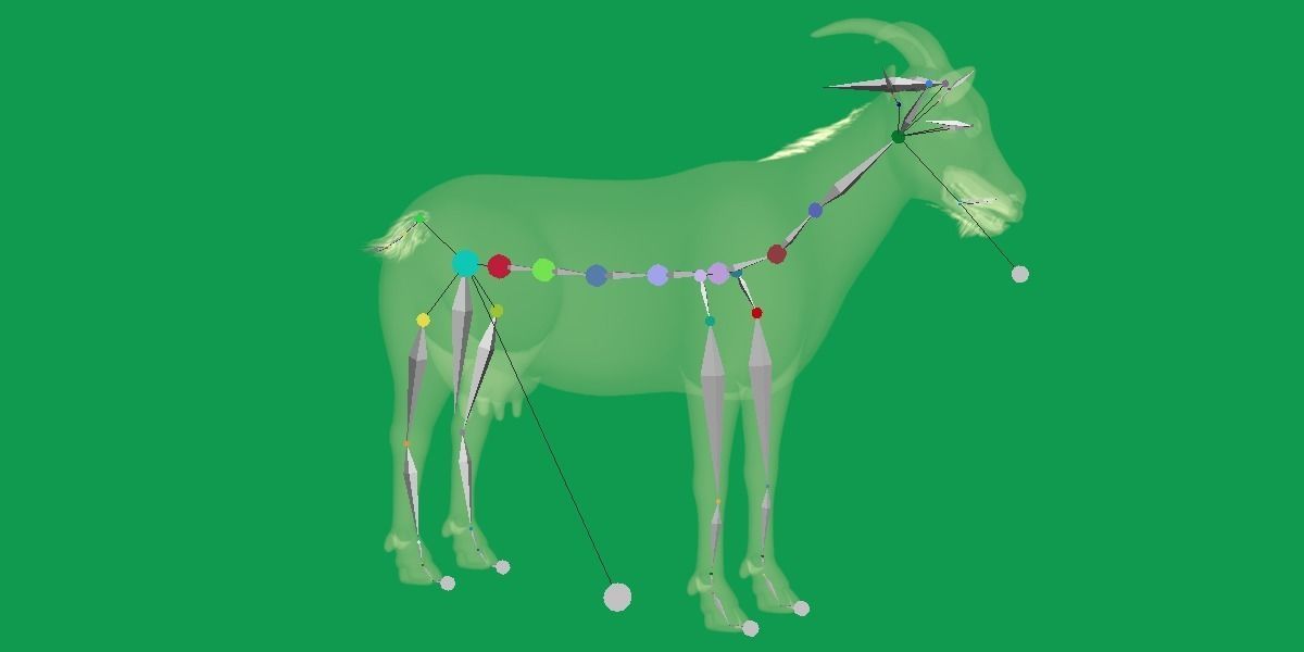 Domestic Goat Low-poly 3D model_6