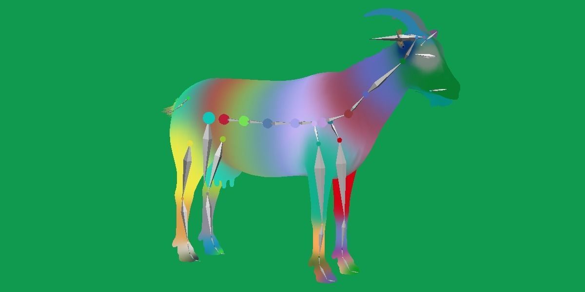 Domestic Goat Low-poly 3D model_13