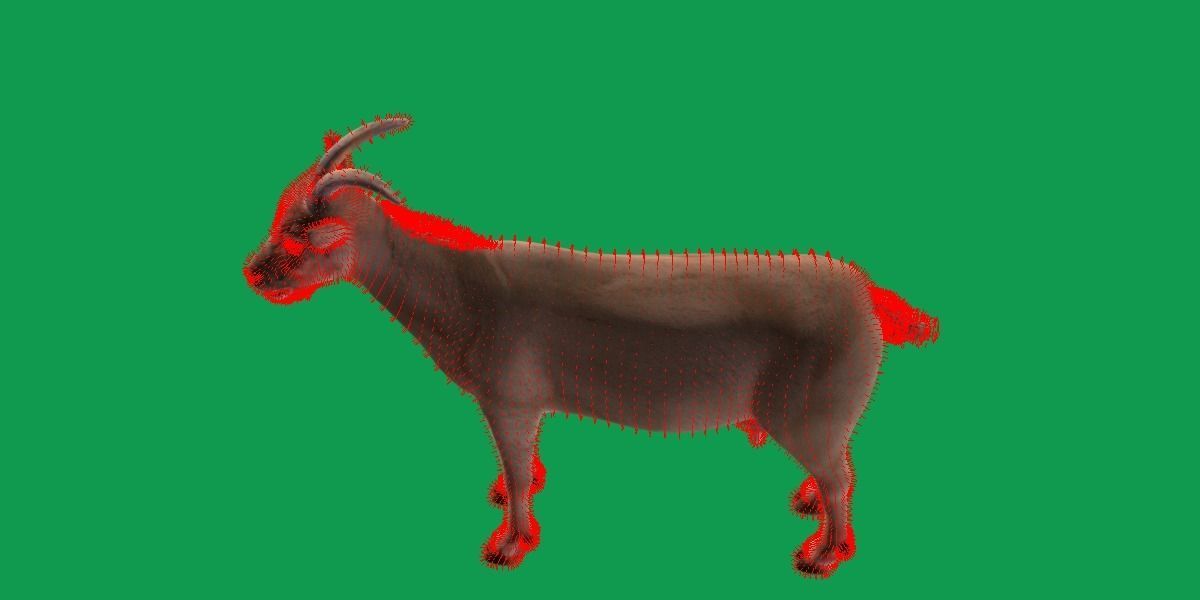 Domestic Goat Low-poly 3D model_32
