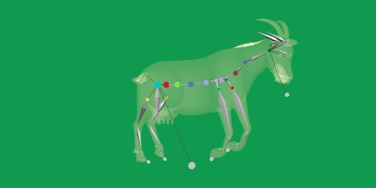 Domestic Goat Low-poly 3D model_29