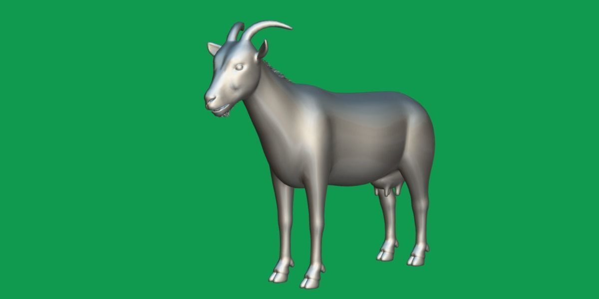 Domestic Goat Low-poly 3D model_22