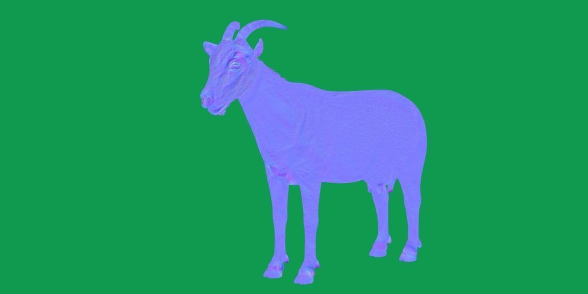 Domestic Goat Low-poly 3D model_18