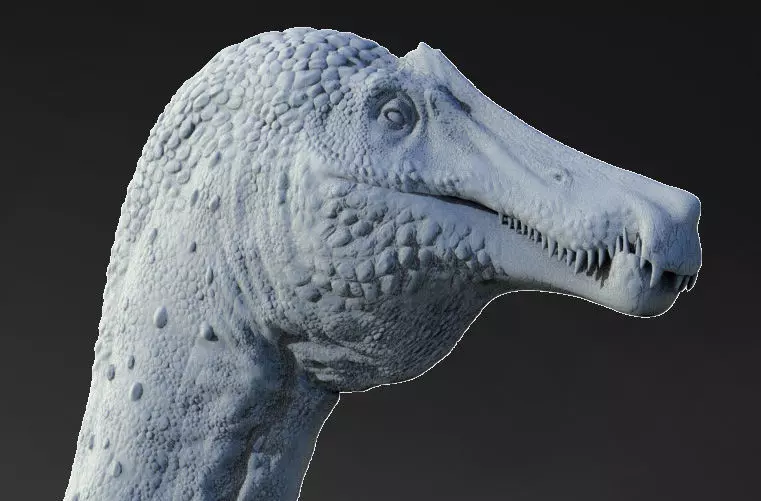 Irritator challengeri 3D print model_0