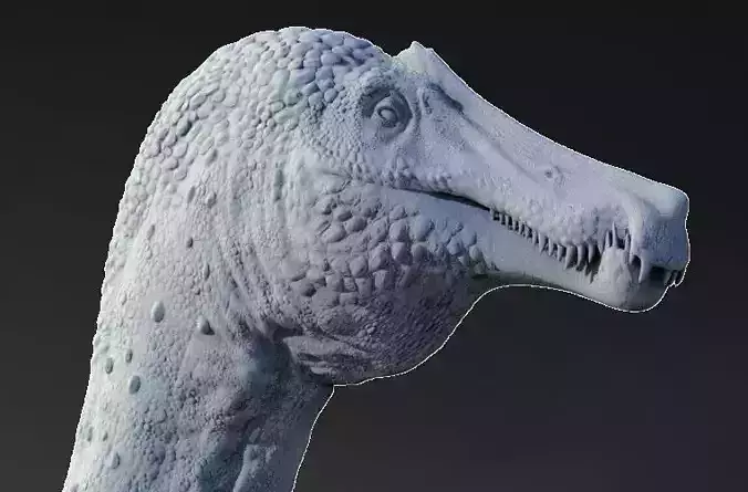 Irritator challengeri 3D print model
