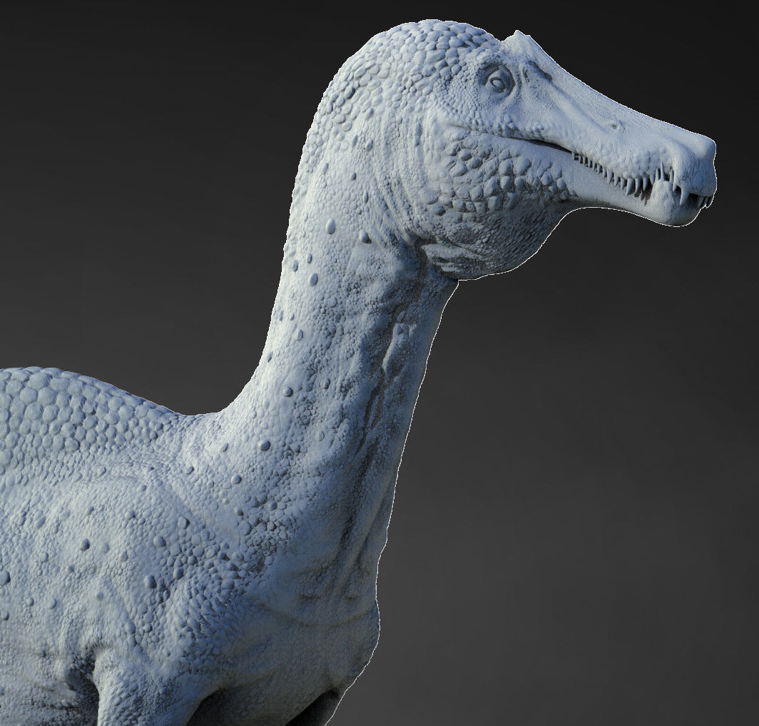 Irritator challengeri 3D print model_1