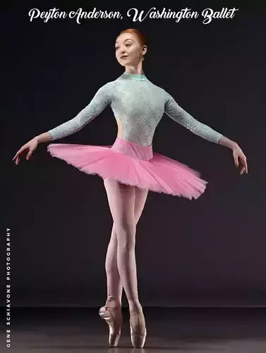 Ballet dancer 3d model 3D model