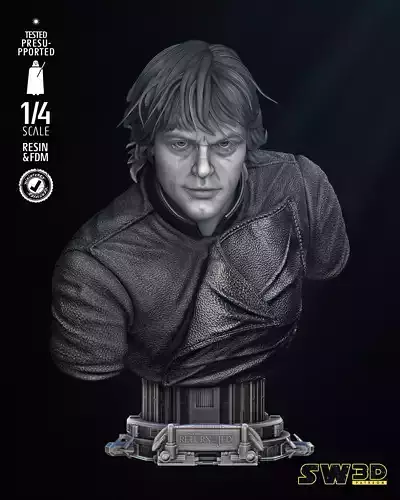 STAR WARS Luke Skywalker Bust Portrait 3D print model