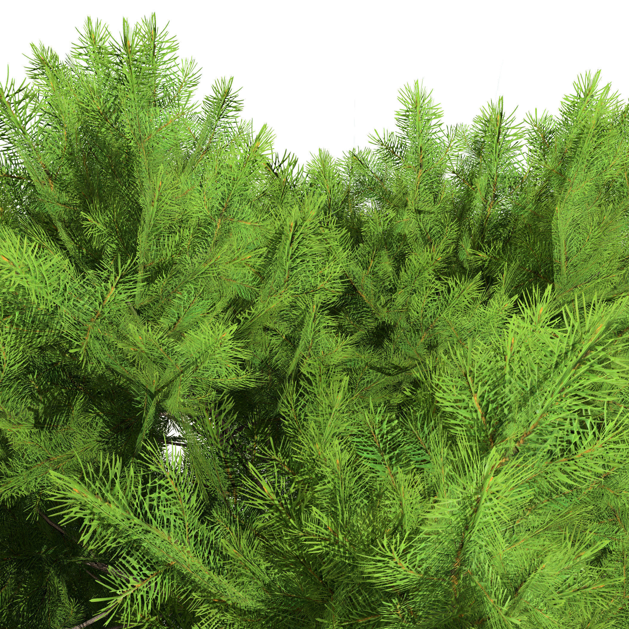 Low Poly Stone Pine Trees Low-poly 3D model_3