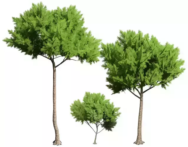 Low Poly Stone Pine Trees Low-poly 3D model