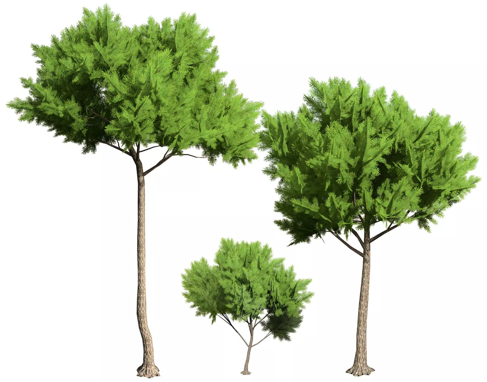 Low Poly Stone Pine Trees Low-poly 3D model_0