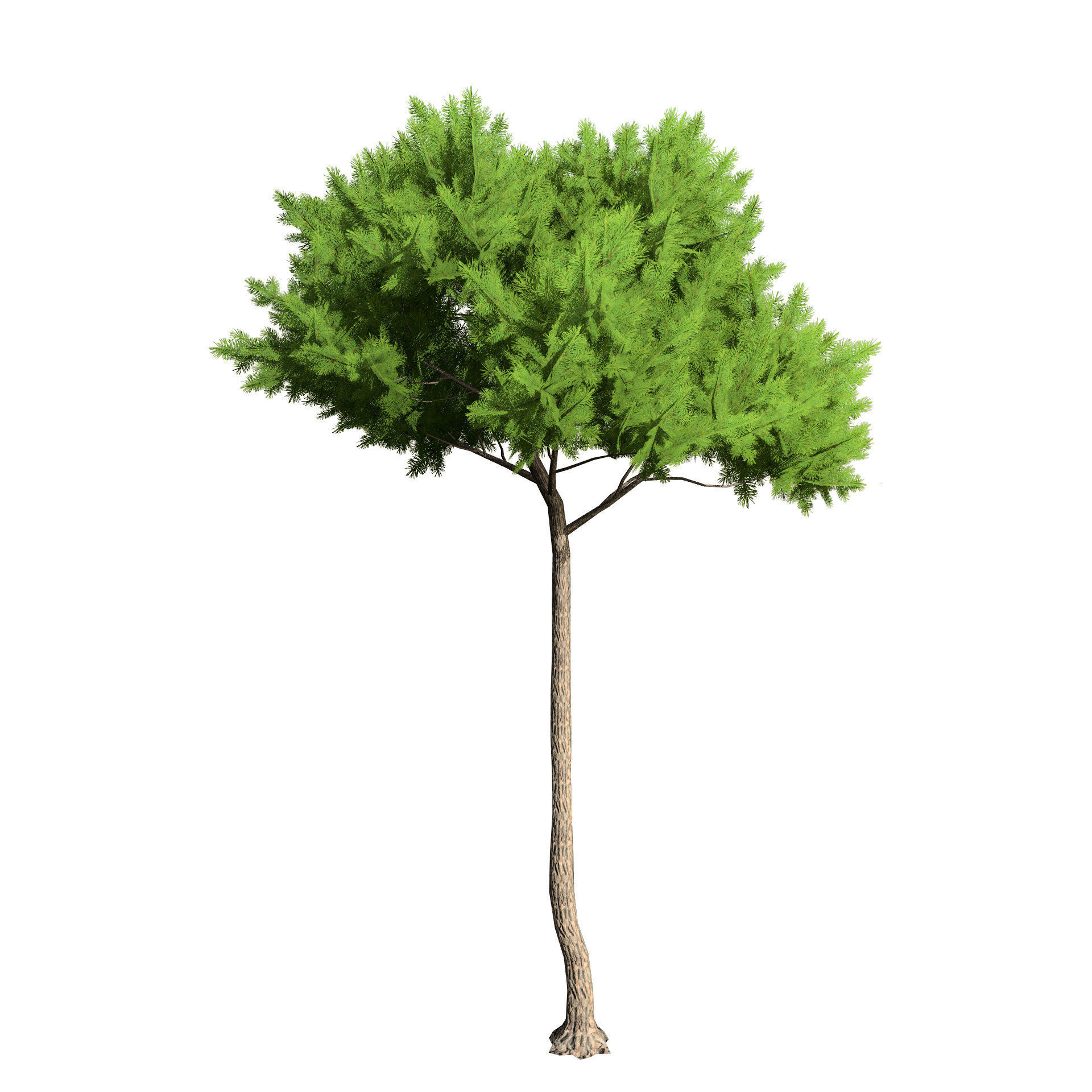 Low Poly Stone Pine Trees Low-poly 3D model_2