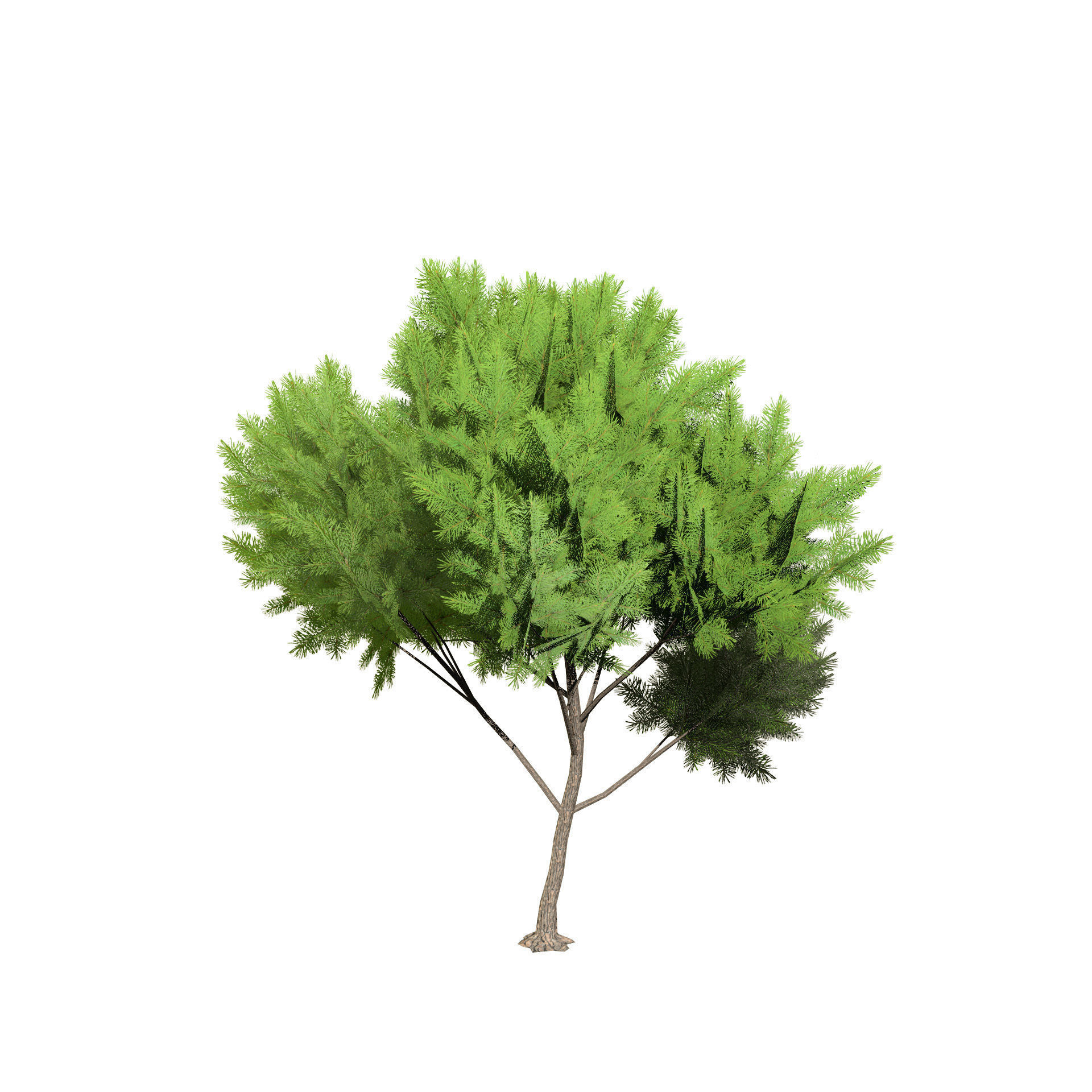 Low Poly Stone Pine Trees Low-poly 3D model_4