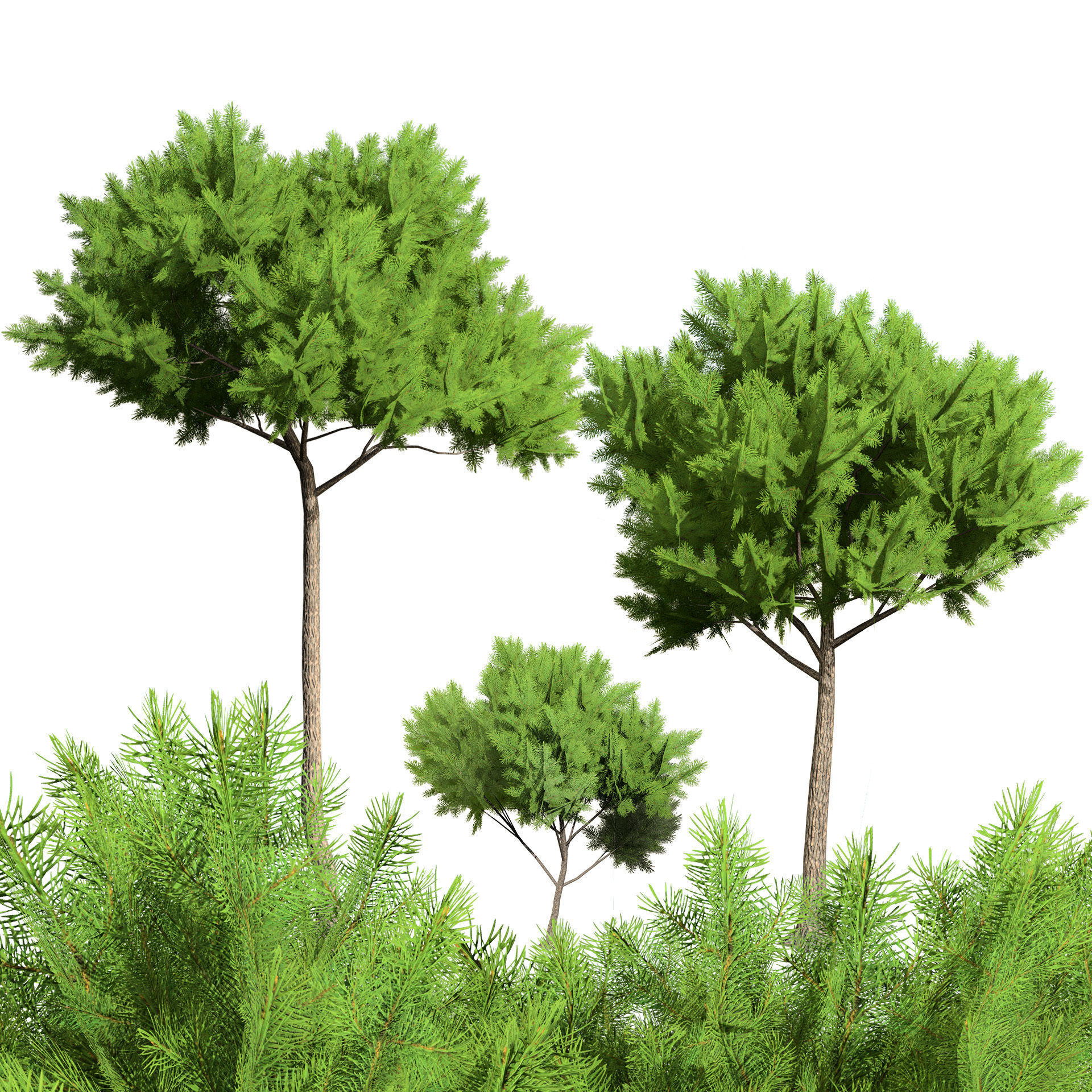 Low Poly Stone Pine Trees Low-poly 3D model_1