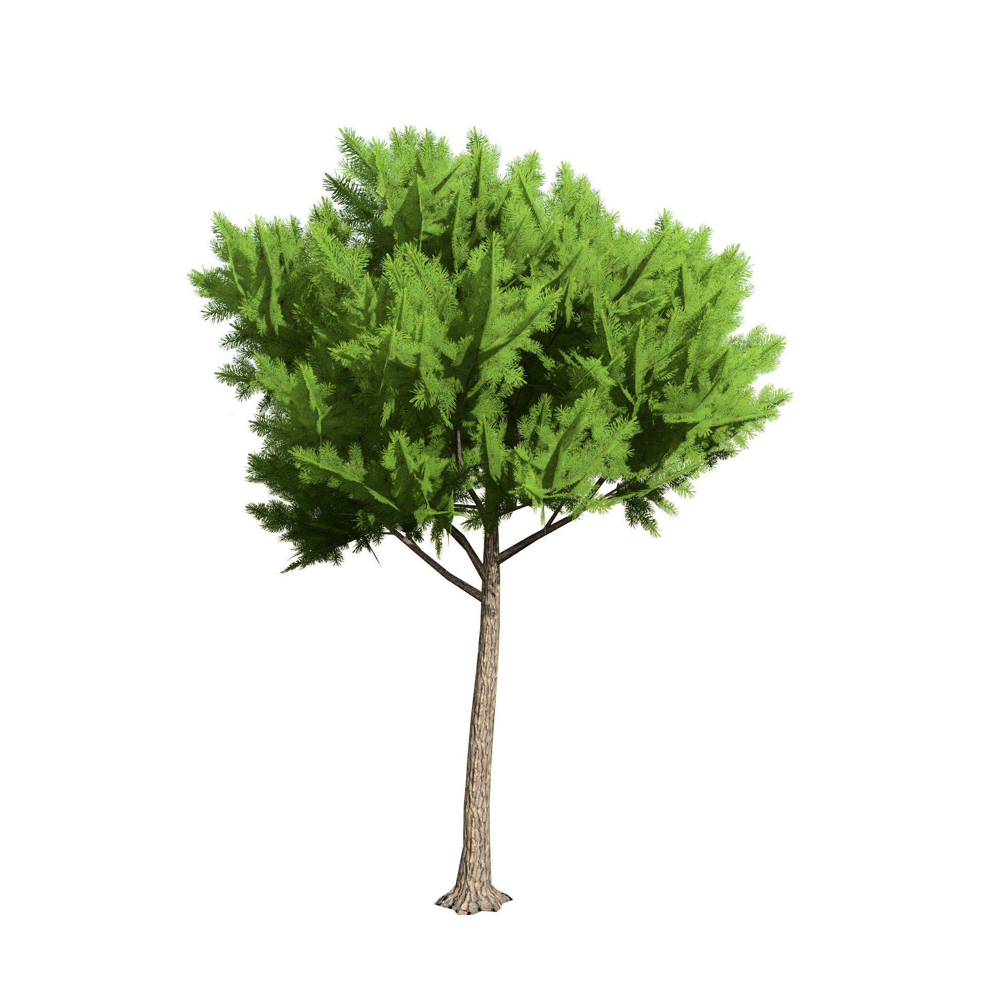 Low Poly Stone Pine Trees Low-poly 3D model_6