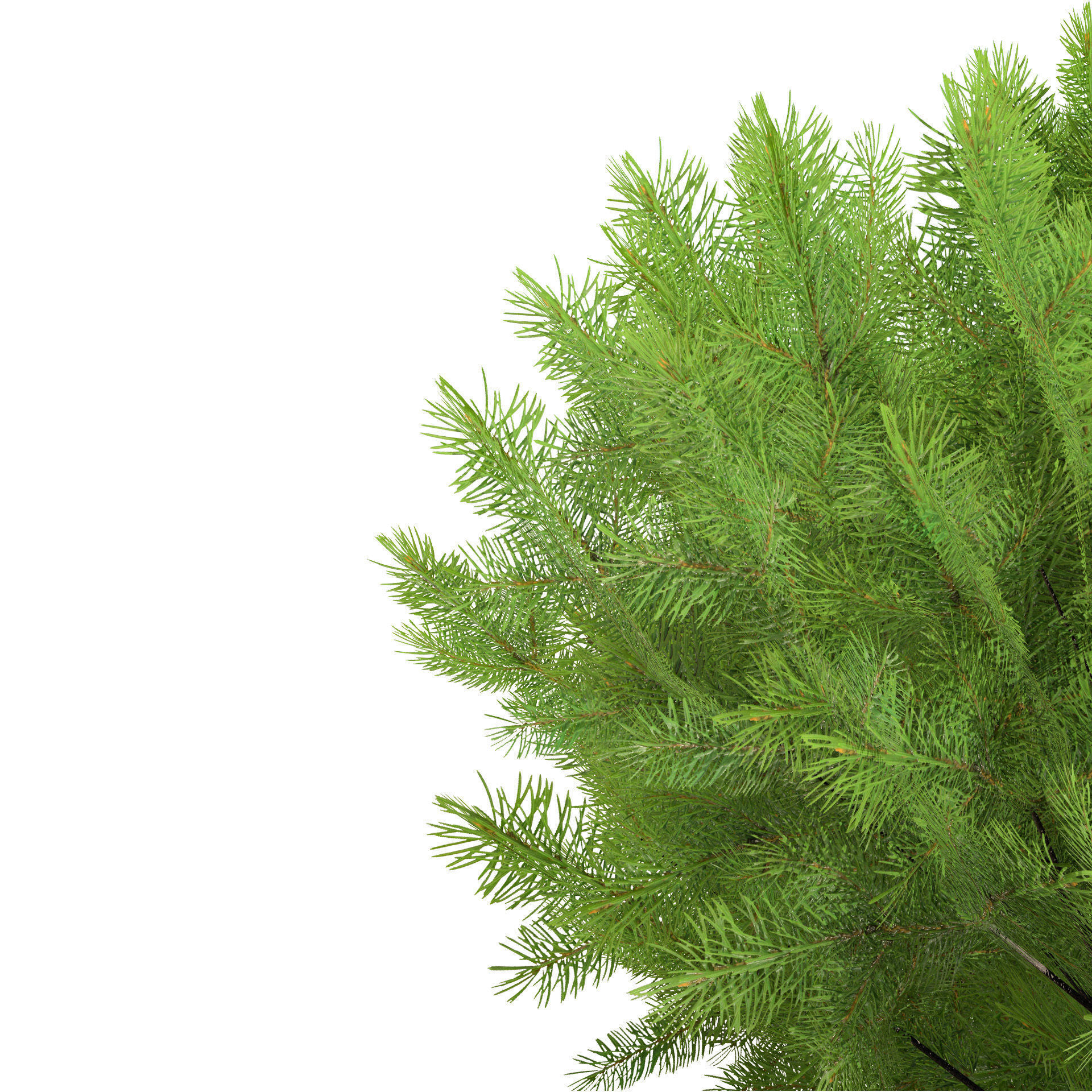 Low Poly Stone Pine Trees Low-poly 3D model_5