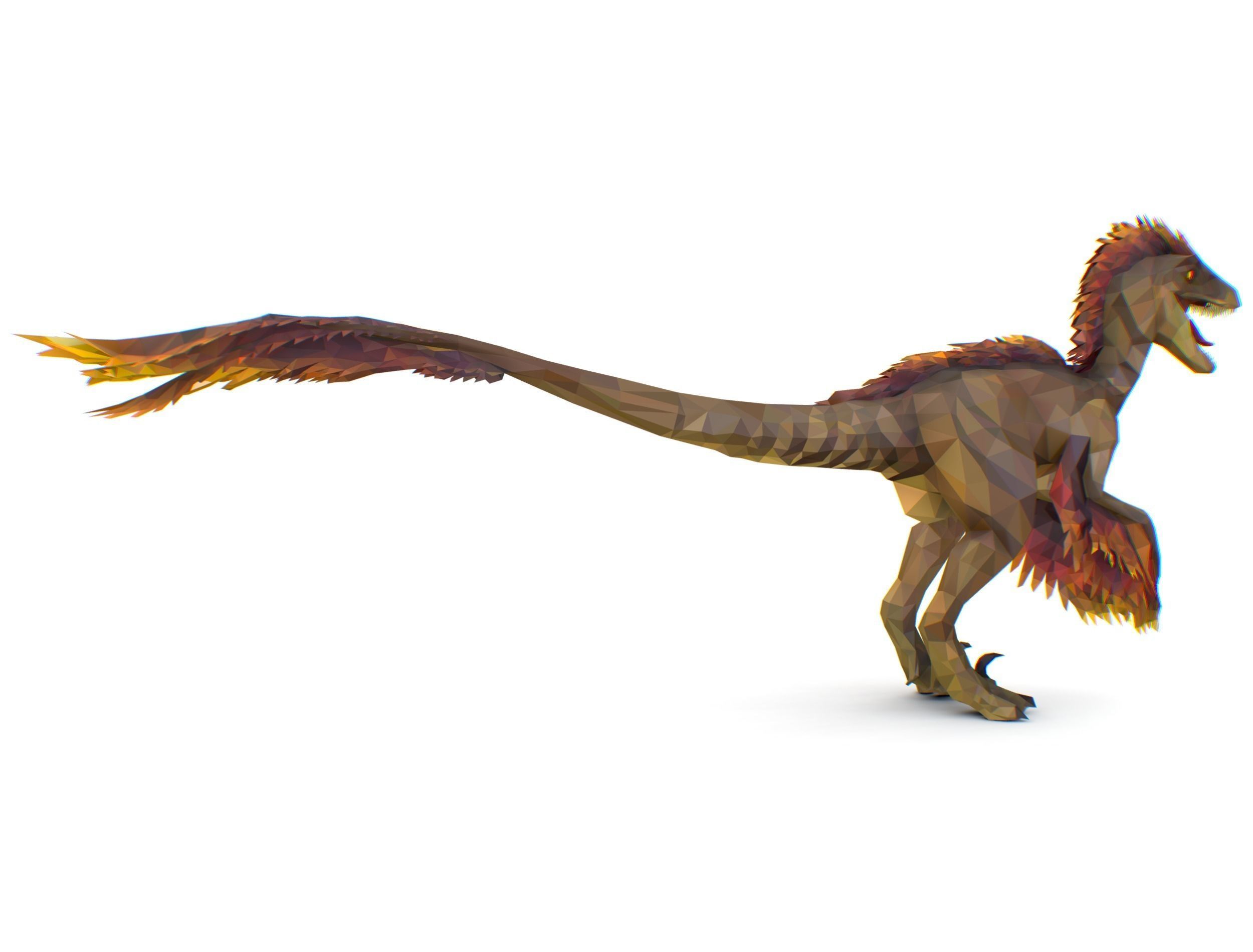 Dinosaur Raptor Feathered Lowpoly Art Animal Low-poly 3D model_13