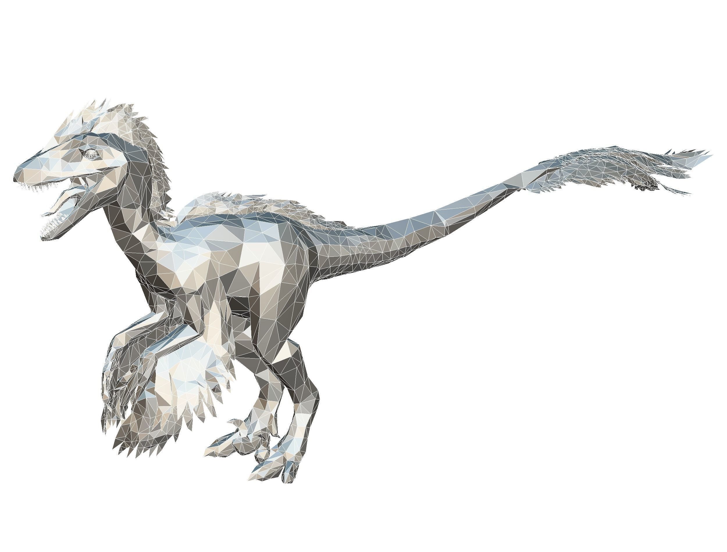 Dinosaur Raptor Feathered Lowpoly Art Animal Low-poly 3D model_34