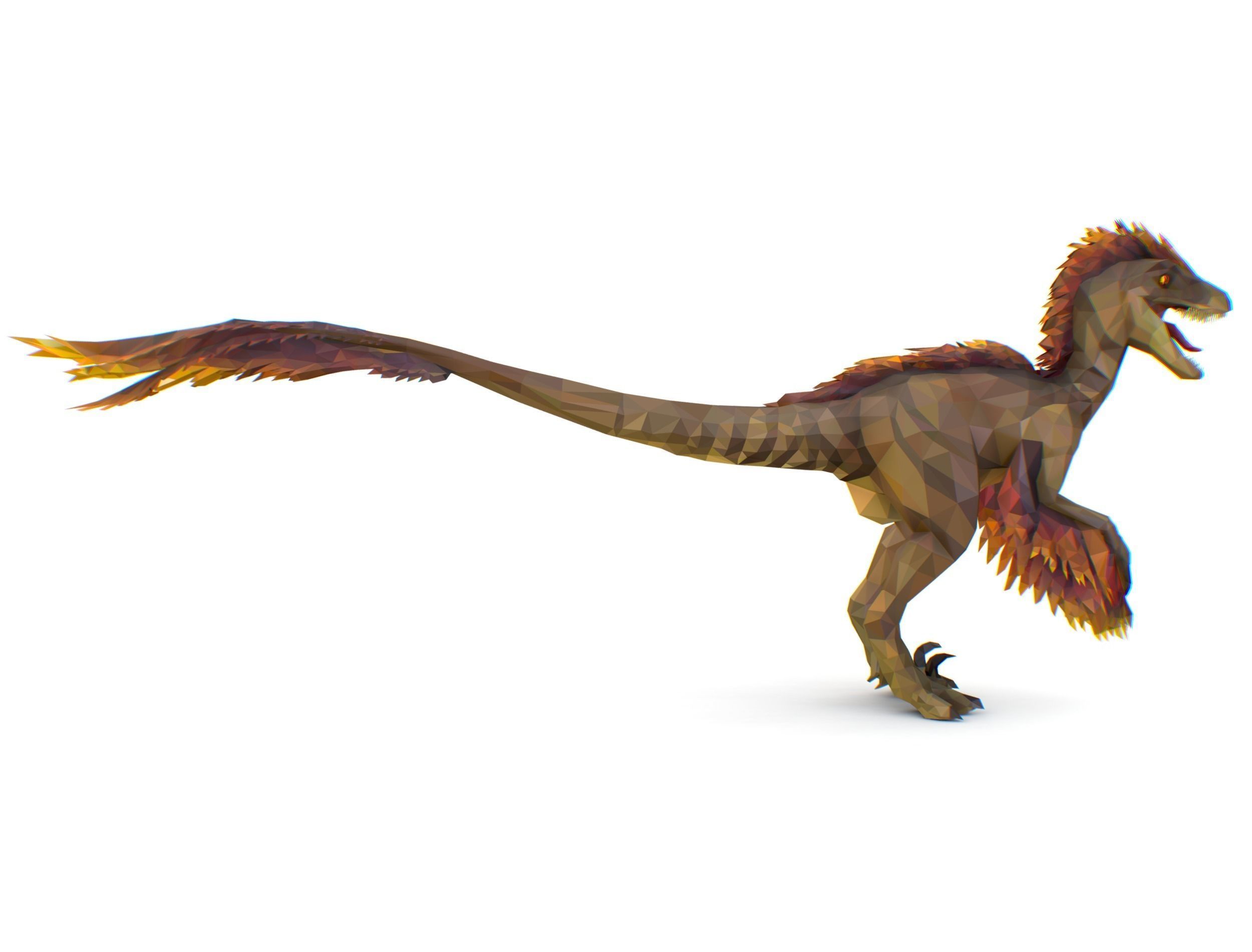 Dinosaur Raptor Feathered Lowpoly Art Animal Low-poly 3D model_12