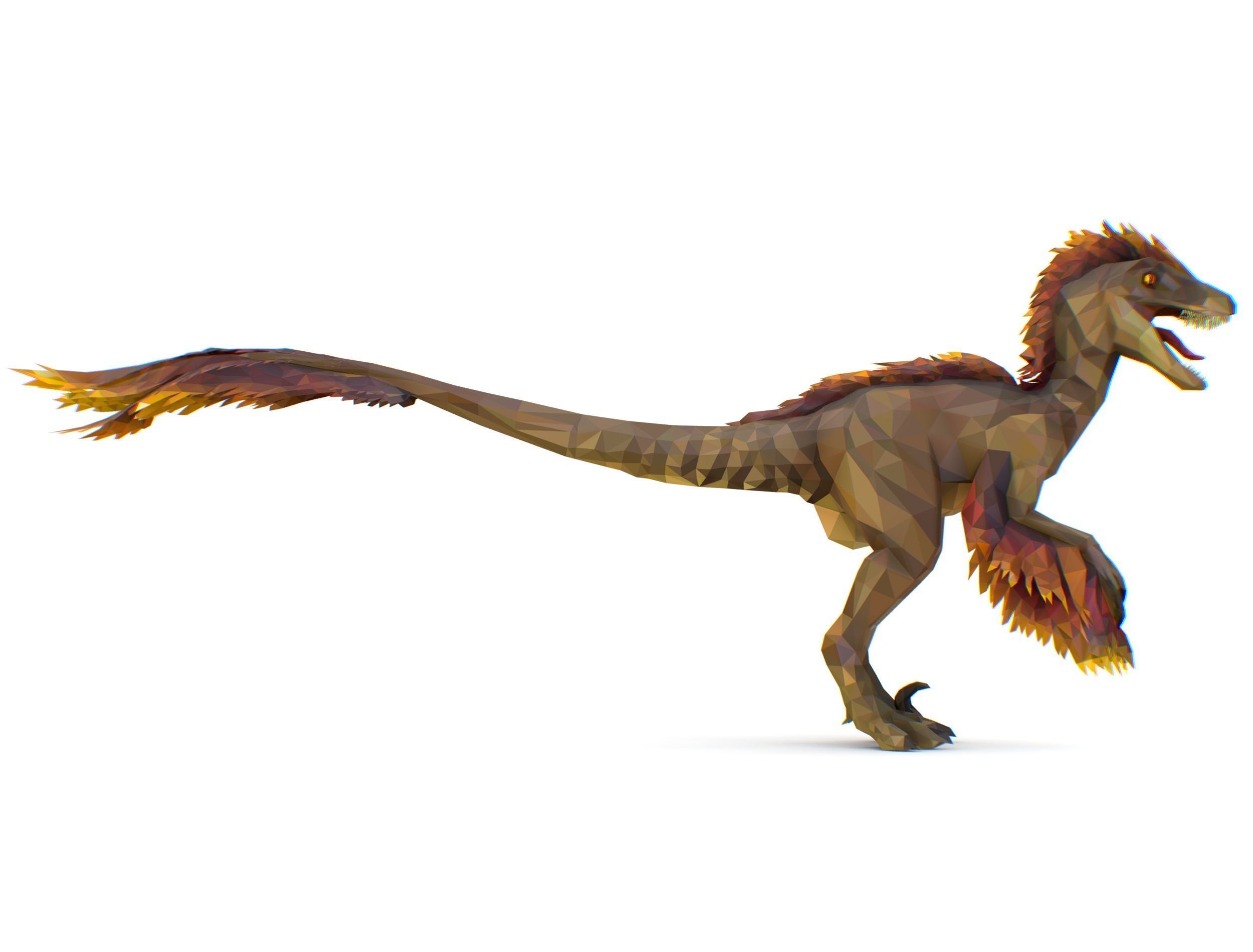 Dinosaur Raptor Feathered Lowpoly Art Animal Low-poly 3D model_27