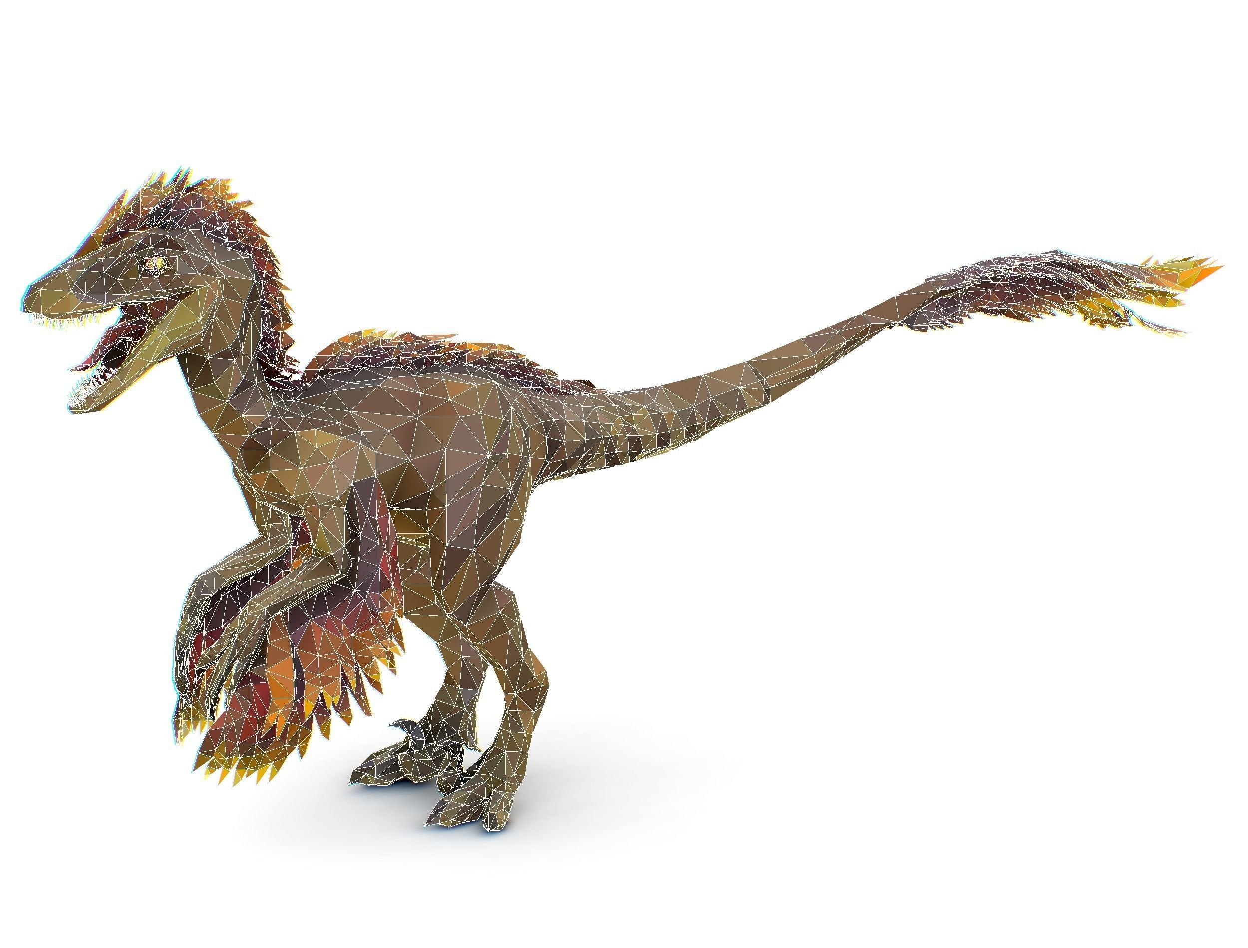 Dinosaur Raptor Feathered Lowpoly Art Animal Low-poly 3D model_33