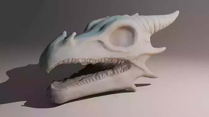 Dragon Skeleton Head