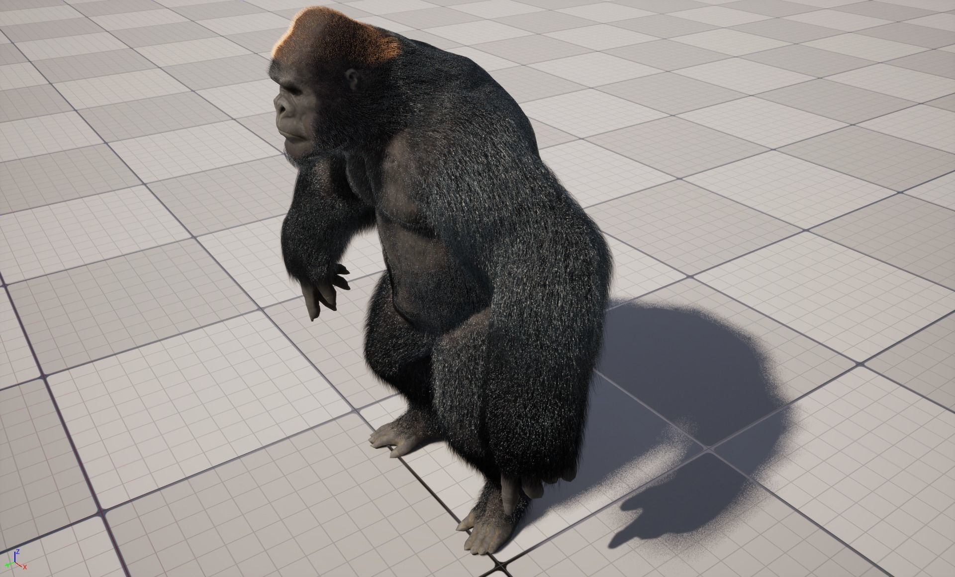 UE5 Gorilla Rigged Fur Low-poly 3D model_2