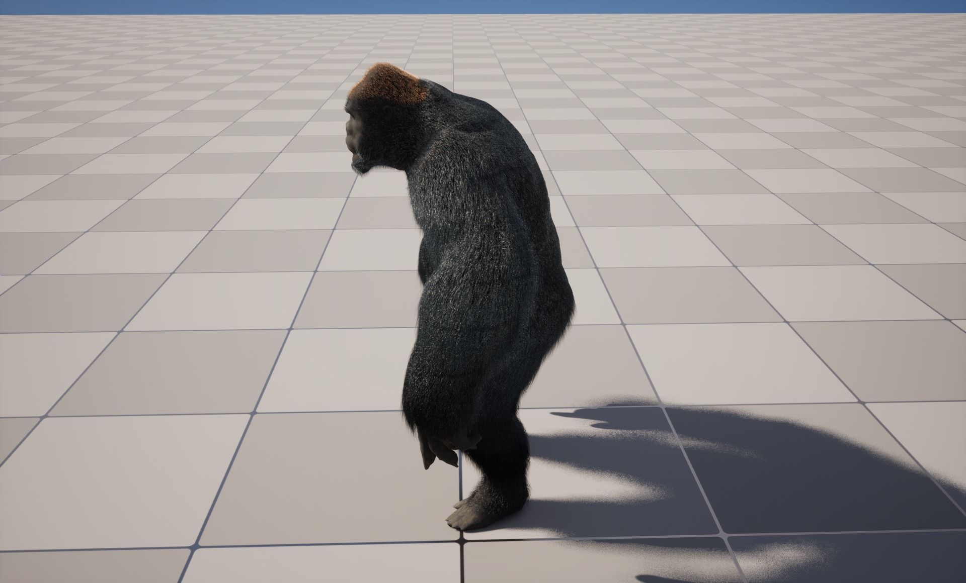 UE5 Gorilla Rigged Fur Low-poly 3D model_7