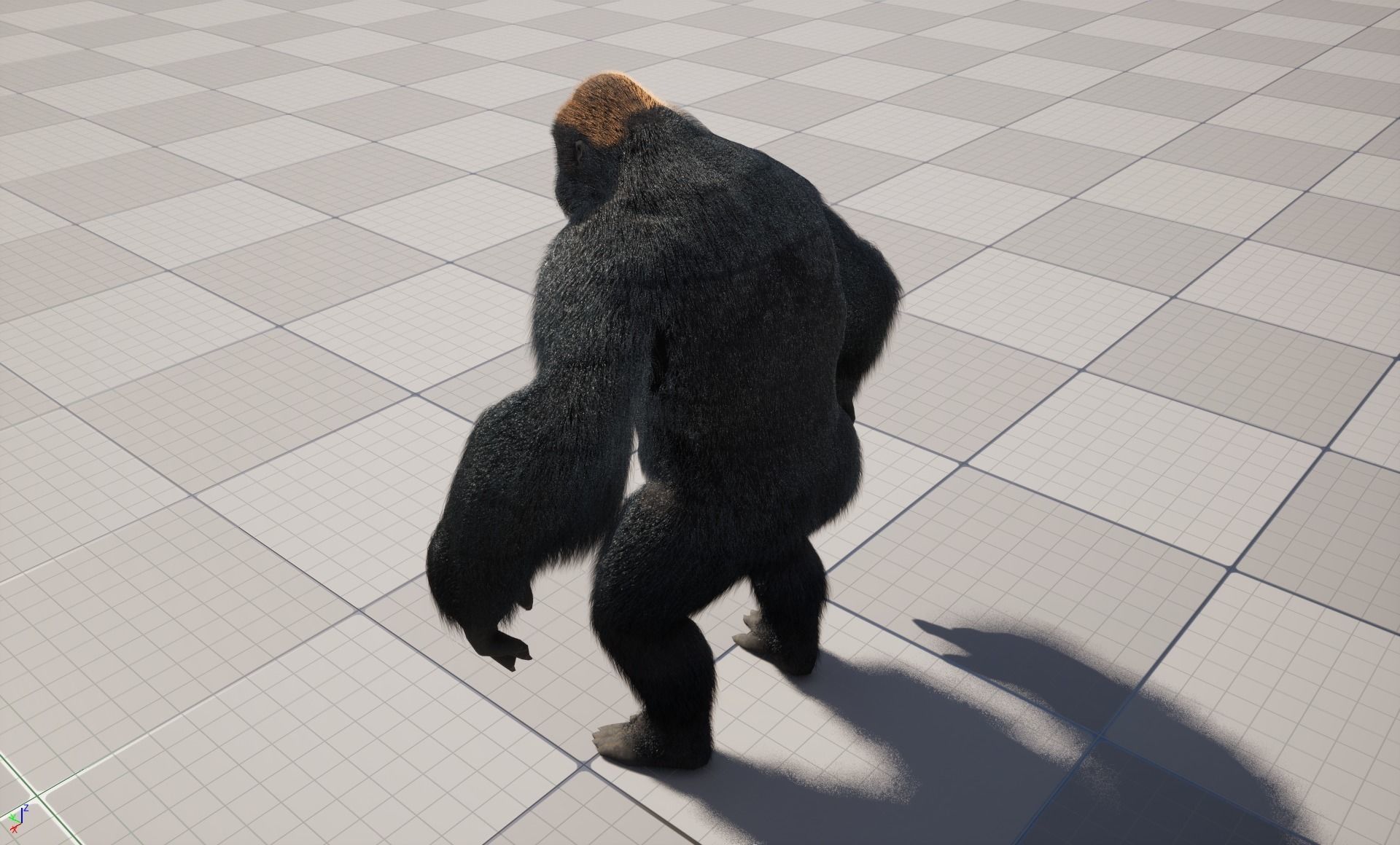 UE5 Gorilla Rigged Fur Low-poly 3D model_3