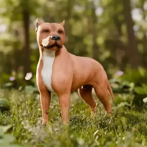 Dog Staffordshire Bull Terrier