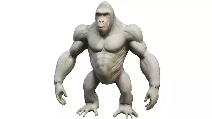Gorilla