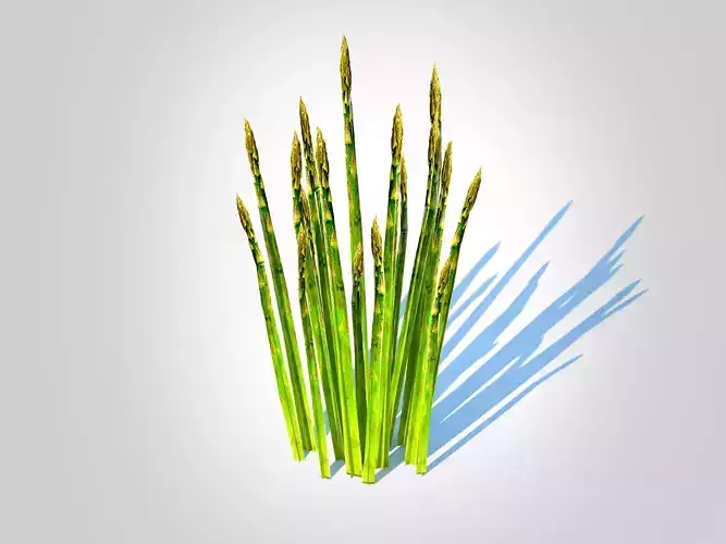 plant Asparagus 
