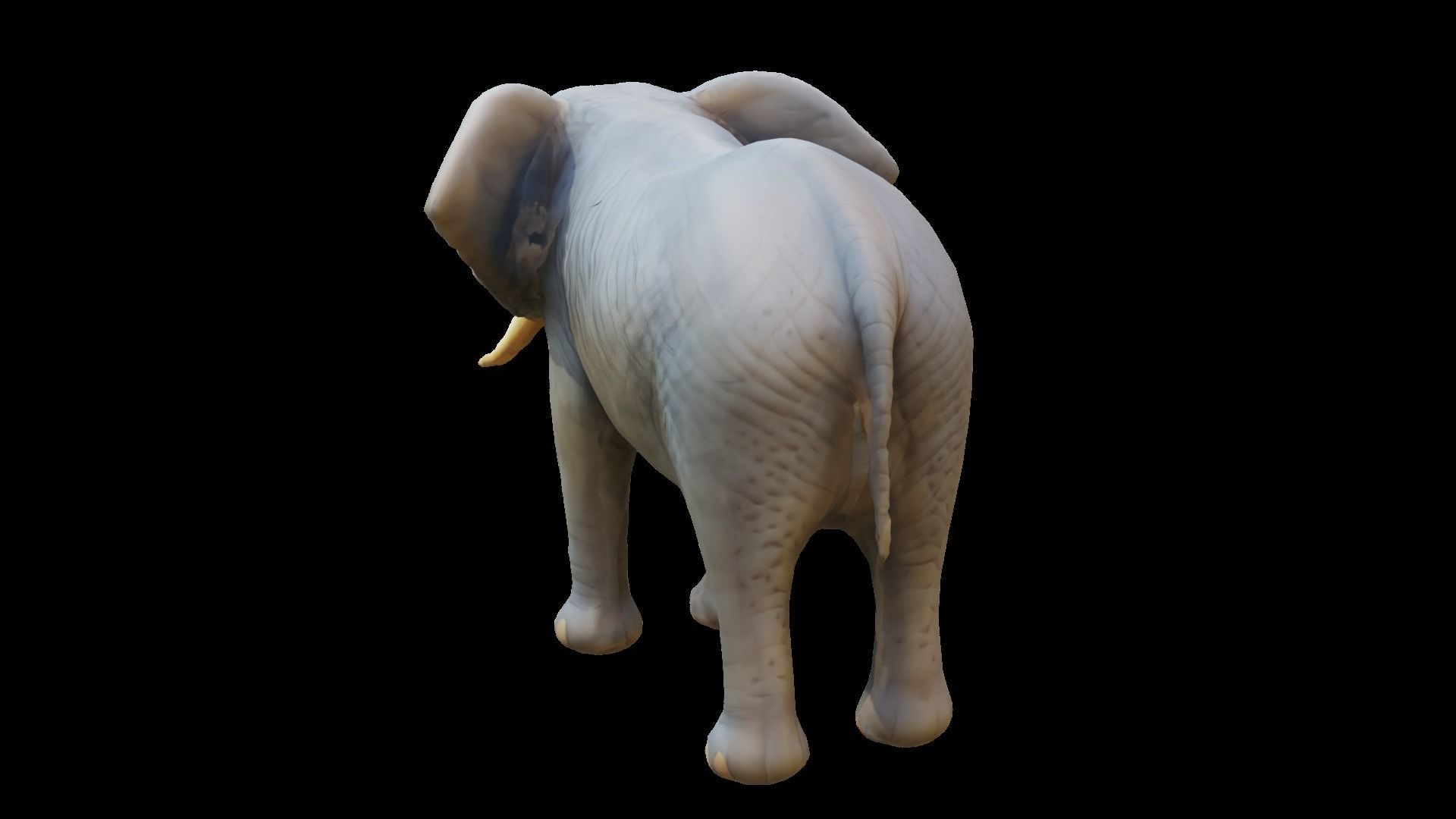 Cartoon elephant Low-poly 3D model_2