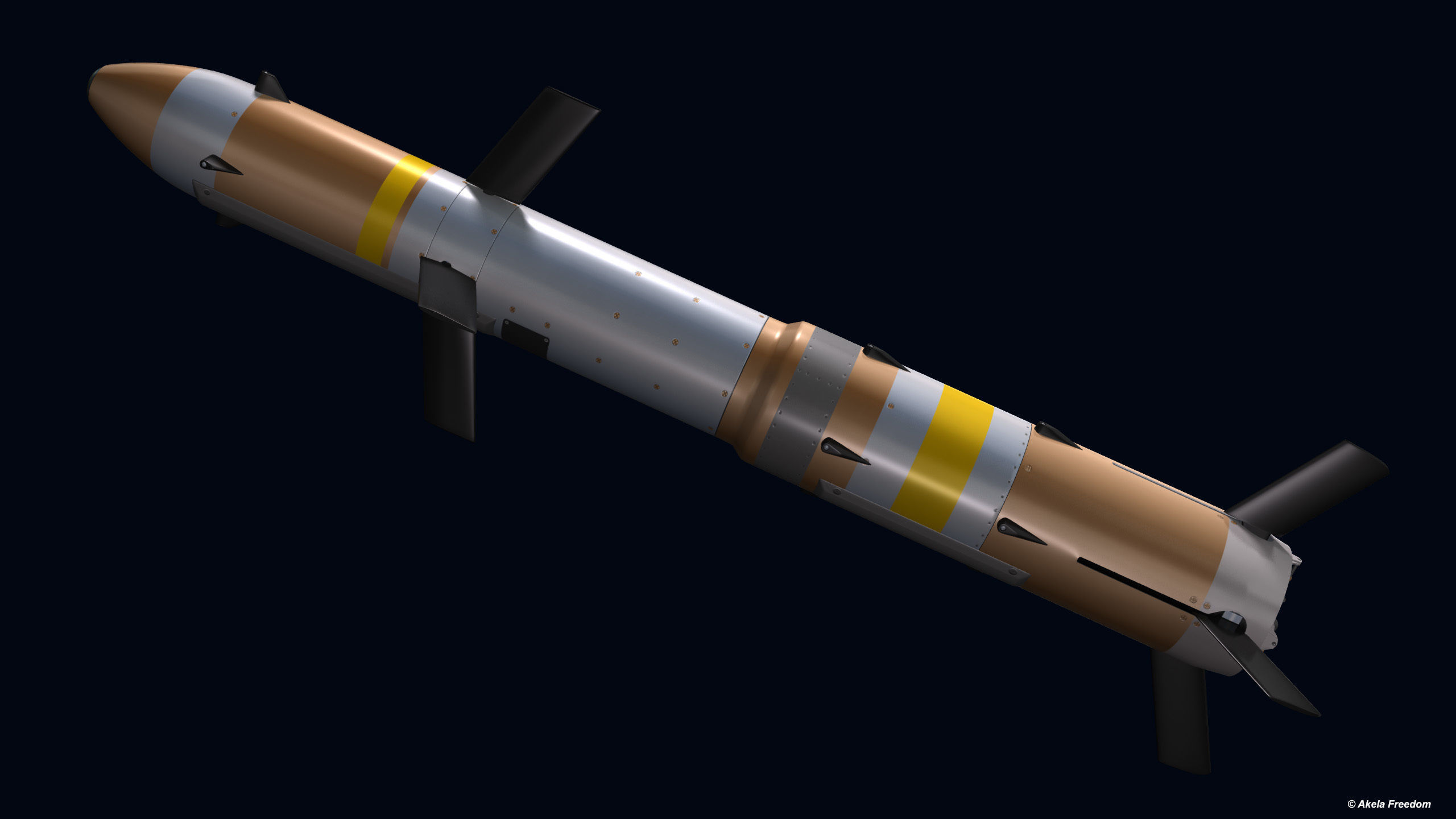 AGM-176 Griffin 3D model_9