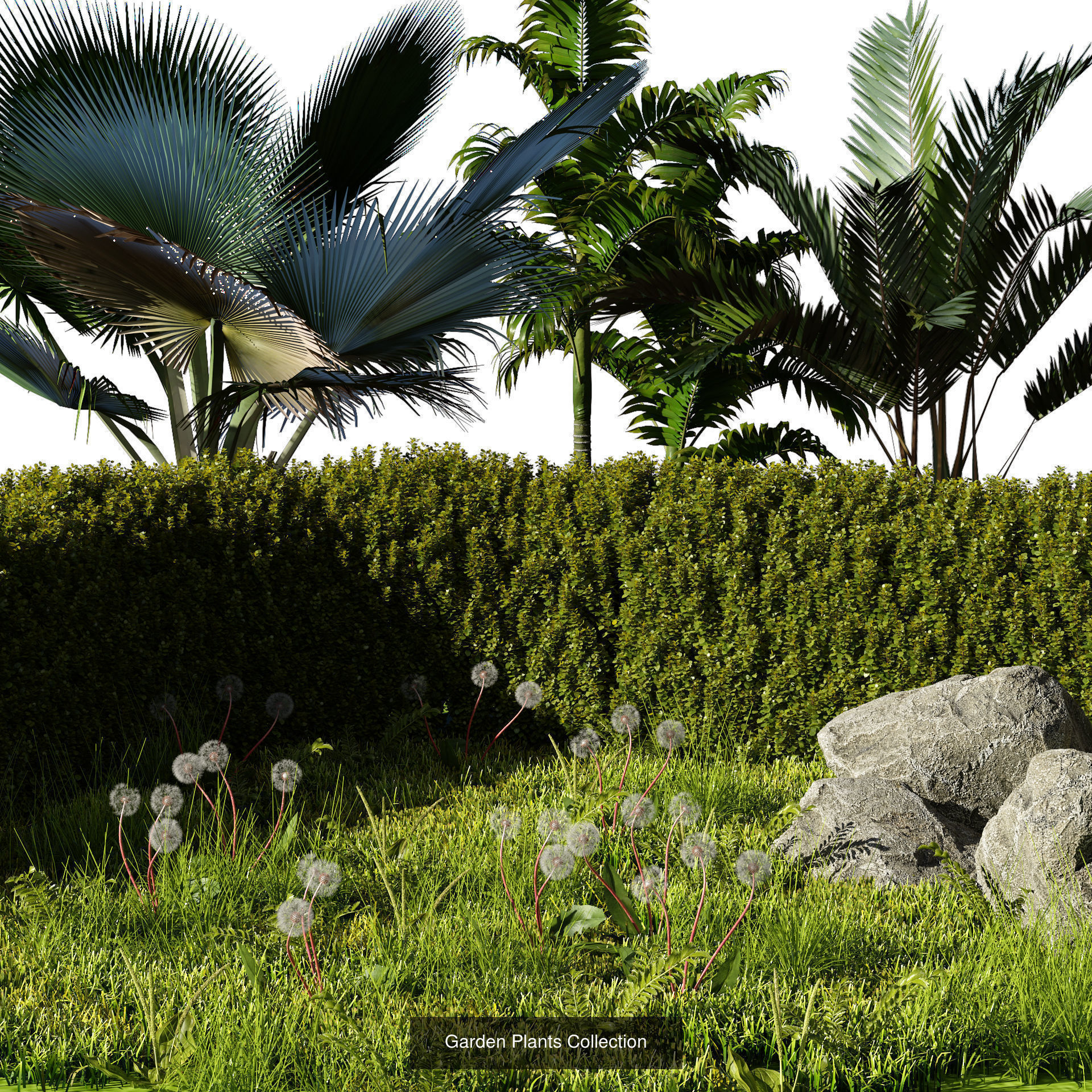 39 High-Quality Landscape Design Assets 3D Model Collection_37