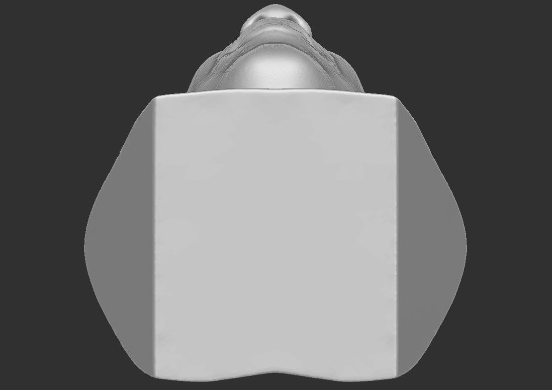 Dave Chappelle bust ready for 3D printing 3D print model_22