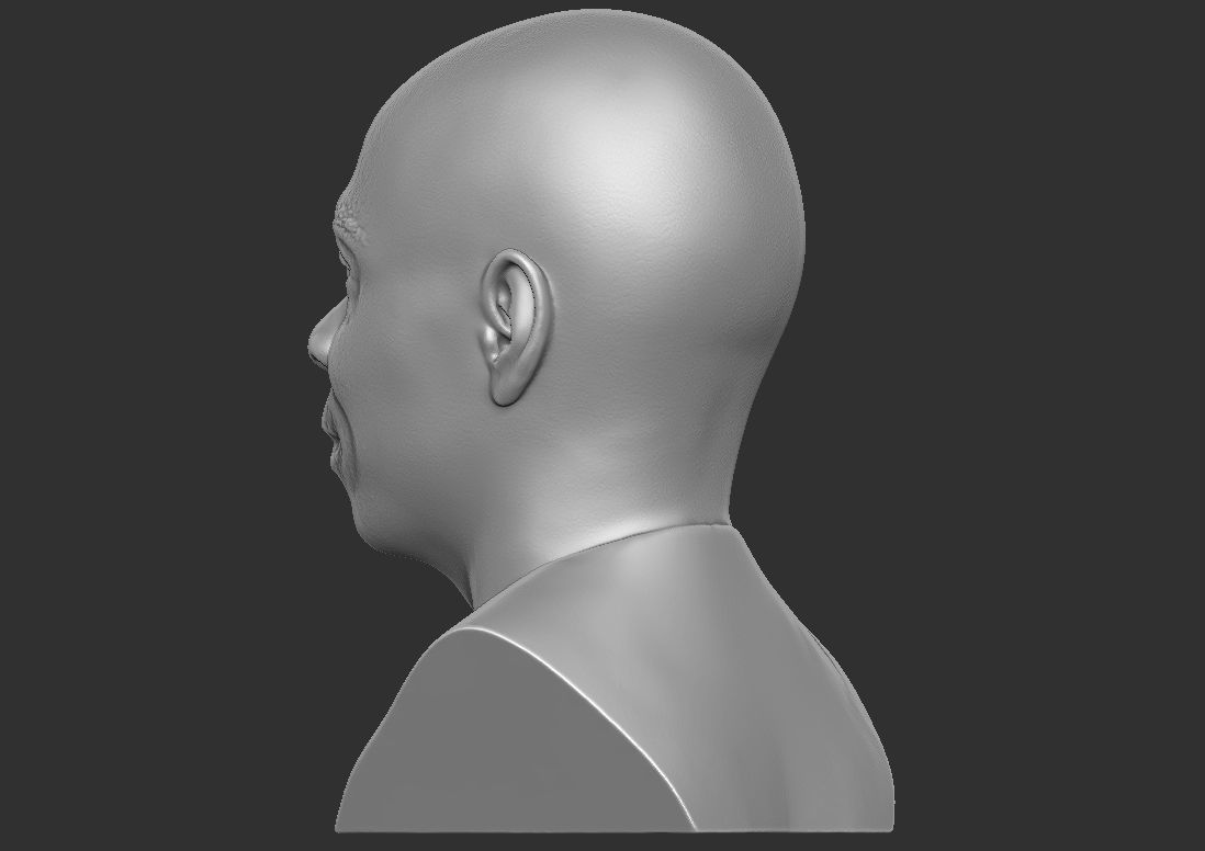 Dave Chappelle bust ready for 3D printing 3D print model_10