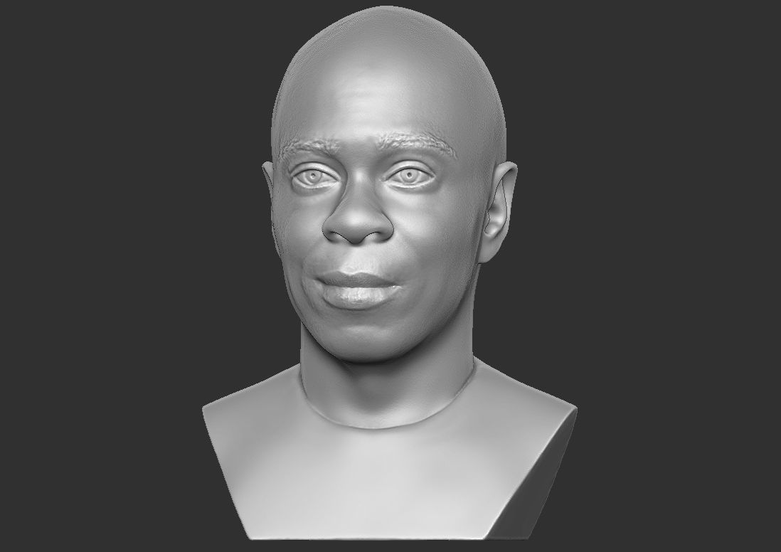 Dave Chappelle bust ready for 3D printing 3D print model_6