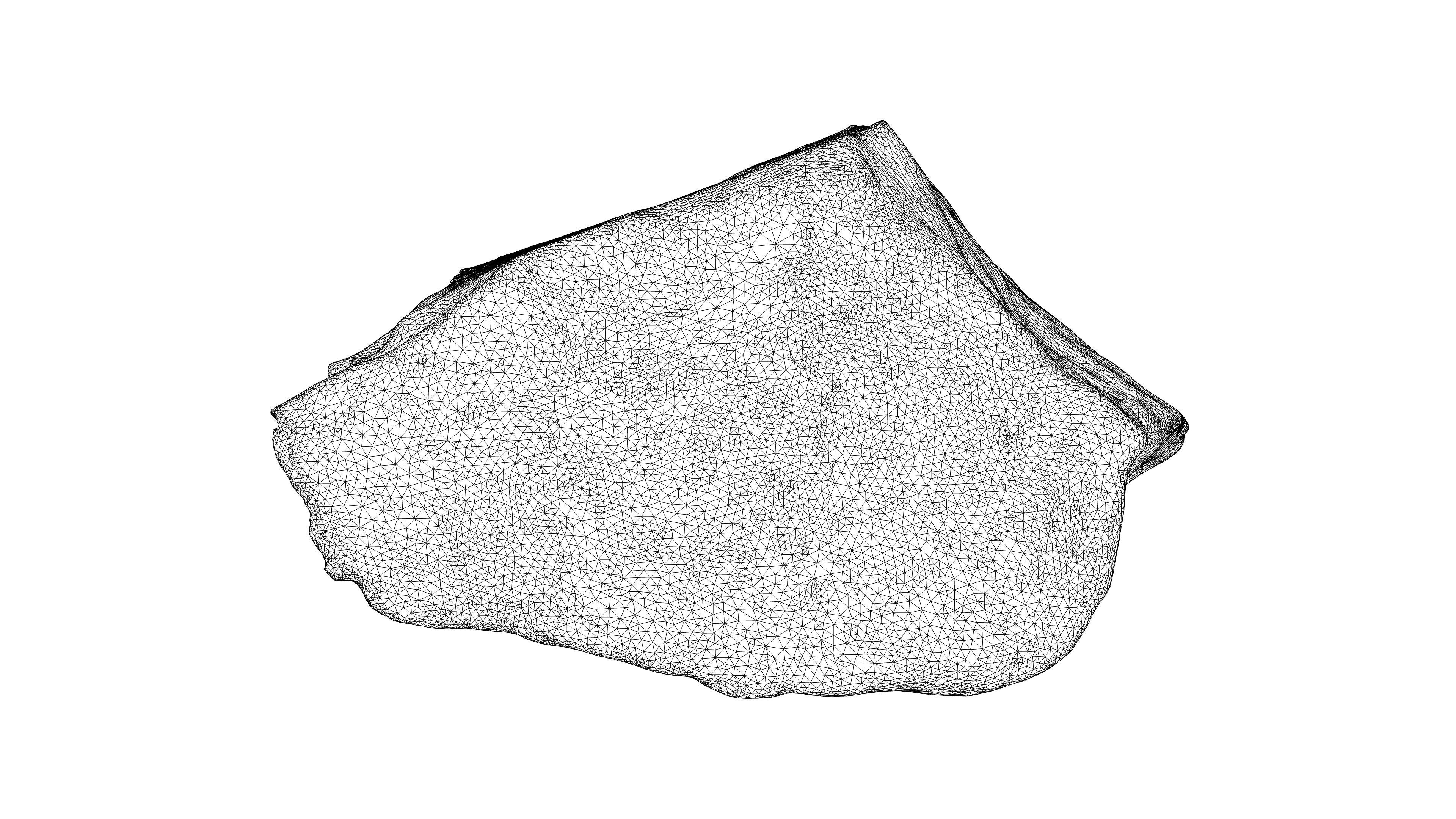 Photorealistic 3D scan of rock stone Low-poly 3D model_24