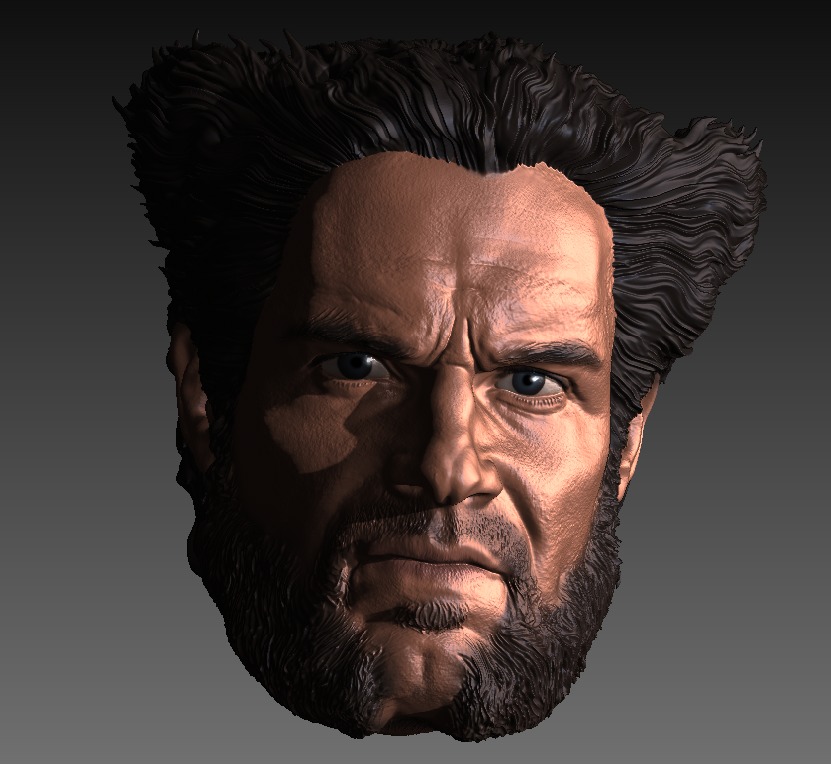 HENRY CAVILL- WOLVERINE VARIANT 3D print model_6