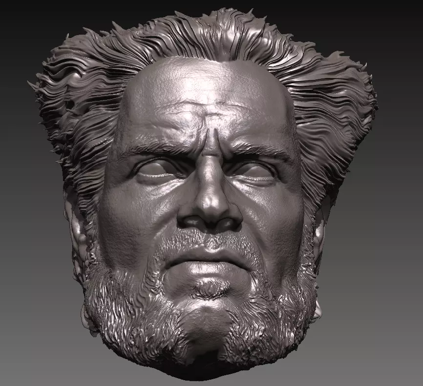 HENRY CAVILL- WOLVERINE VARIANT 3D print model_0