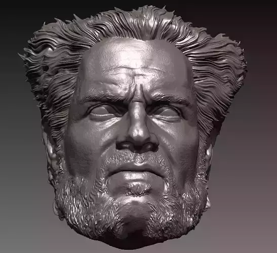 HENRY CAVILL- WOLVERINE VARIANT 3D print model