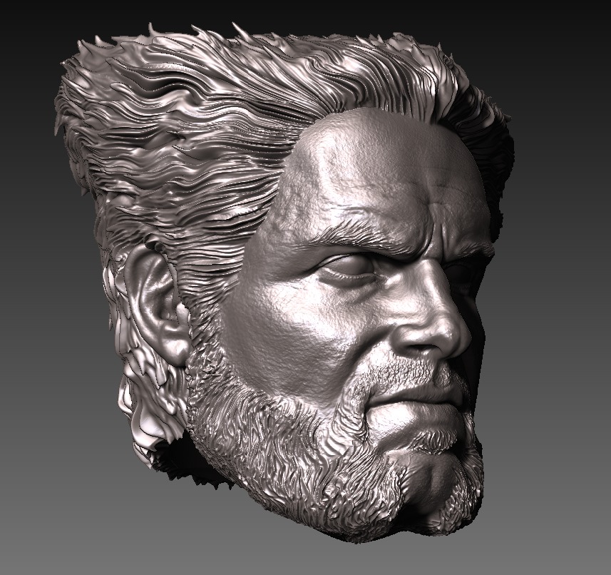 HENRY CAVILL- WOLVERINE VARIANT 3D print model_5