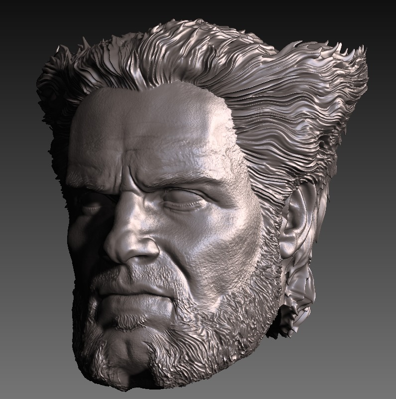 HENRY CAVILL- WOLVERINE VARIANT 3D print model_4