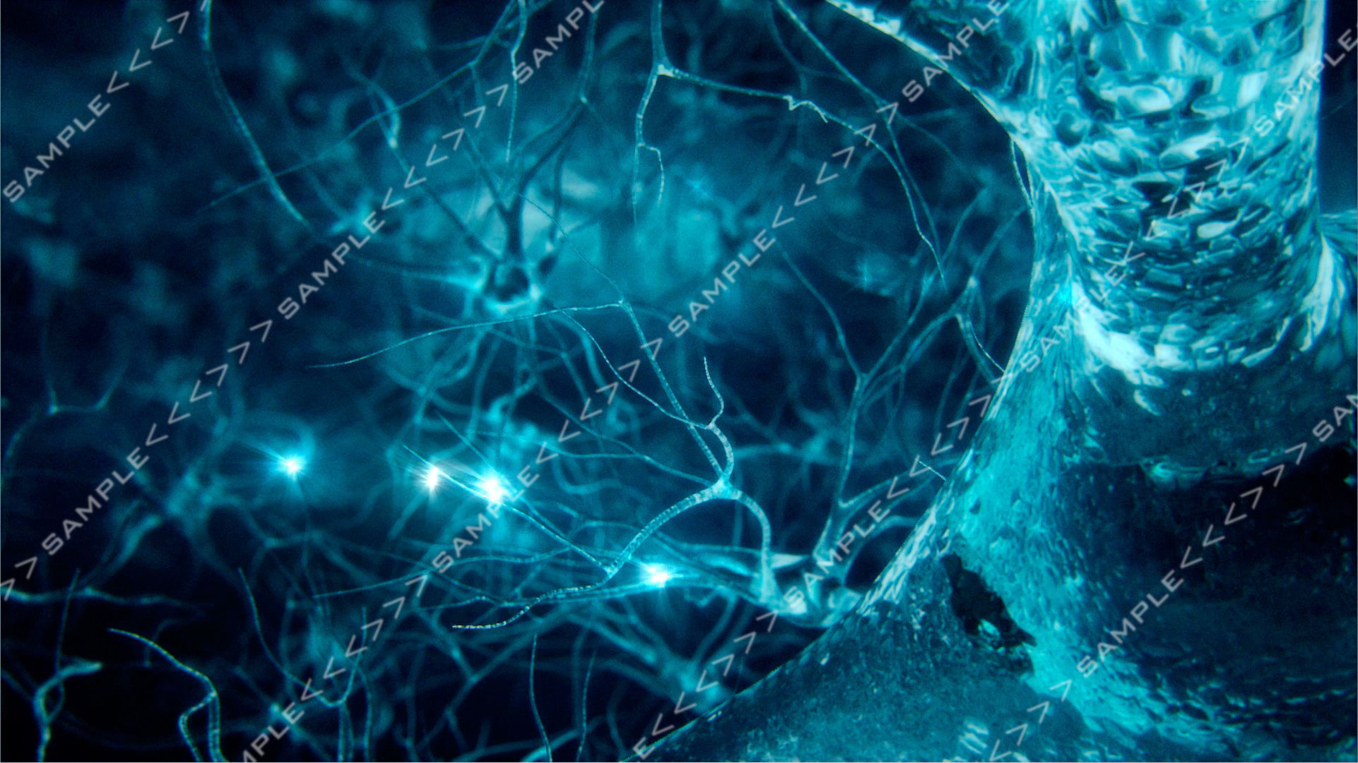 Neurons-fly-through neuron light 3D model_2