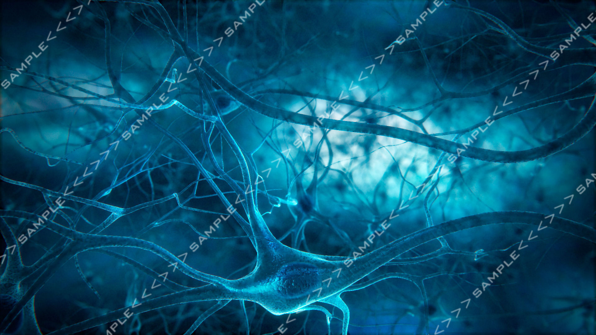 Neurons-fly-through neuron light 3D model_4