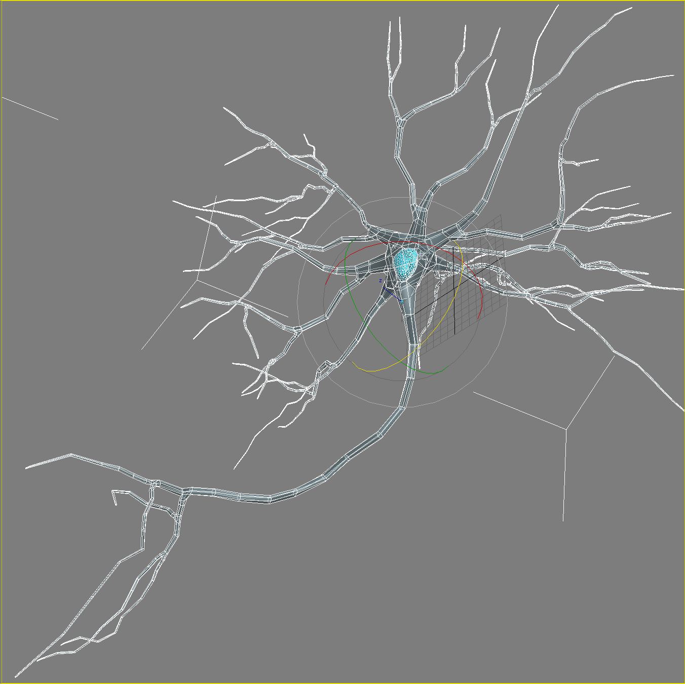 Neurons-fly-through neuron light 3D model_12